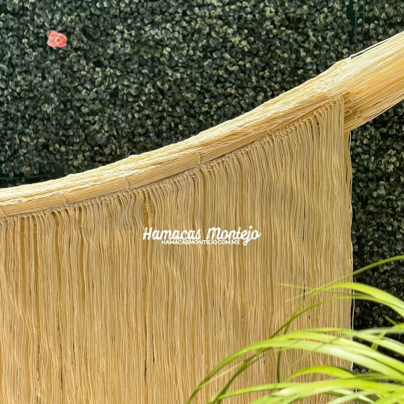 Hamaca de barbas