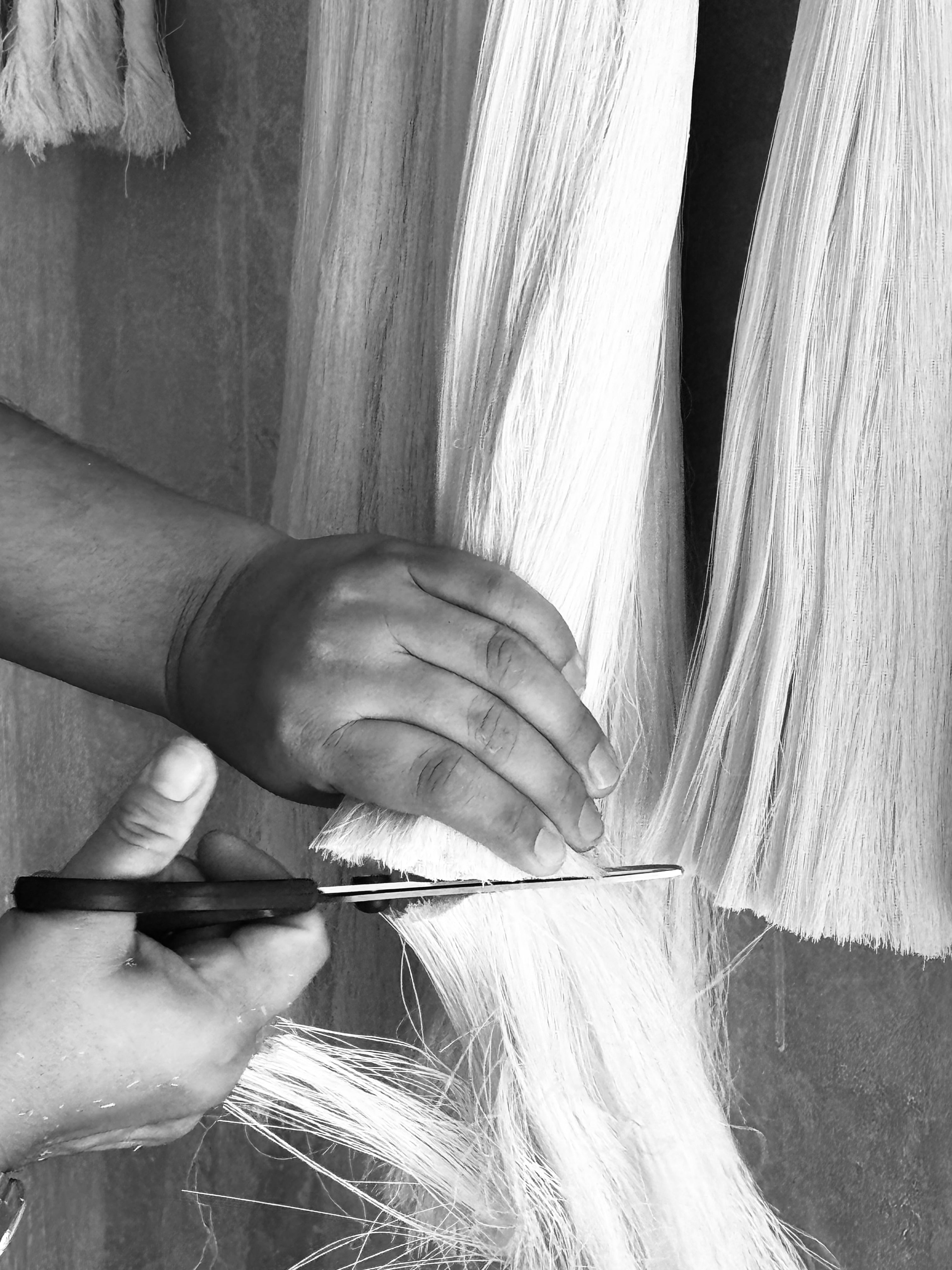 Lienzos y Decoracion