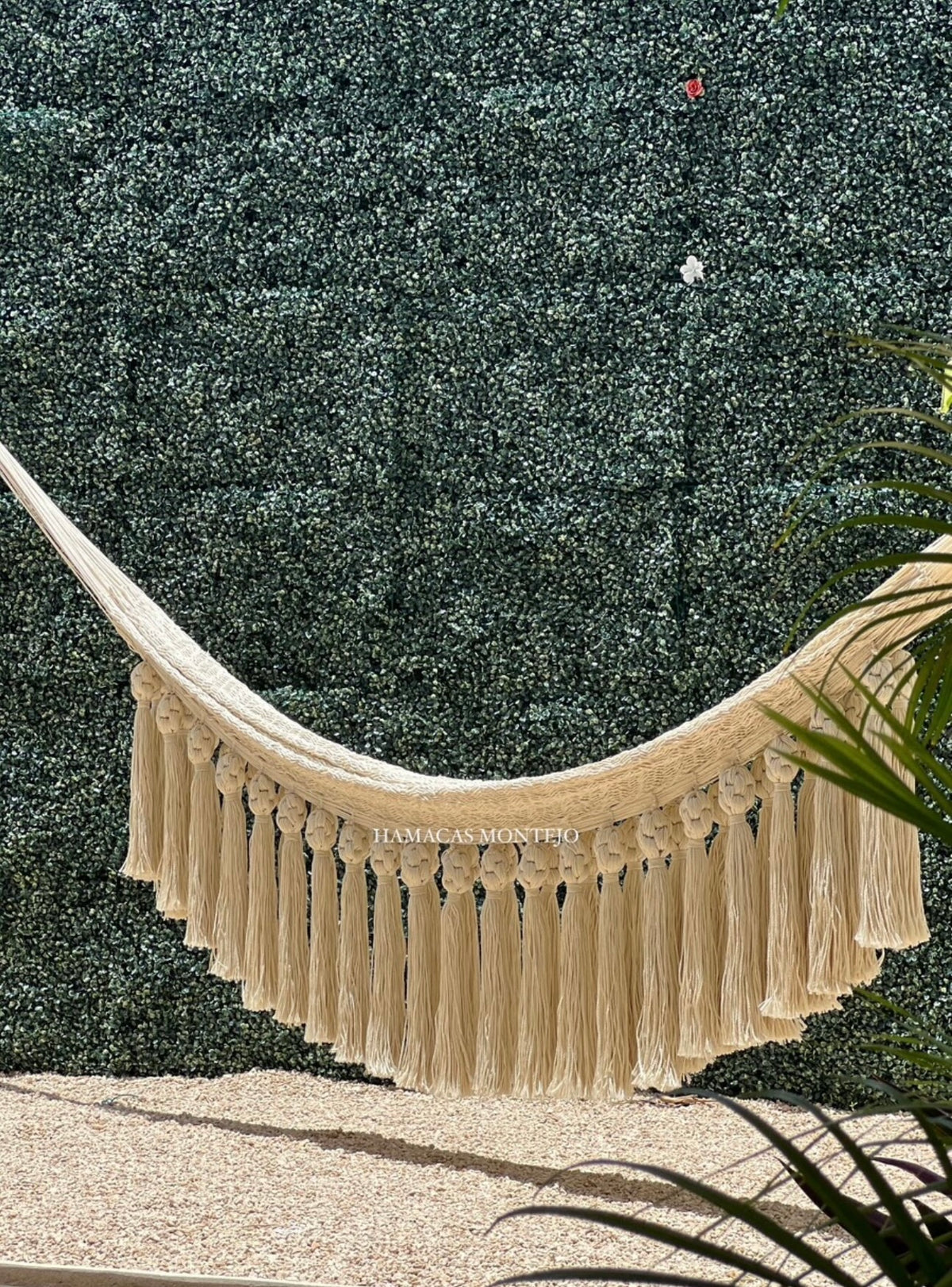 Exclusive Martina hammock